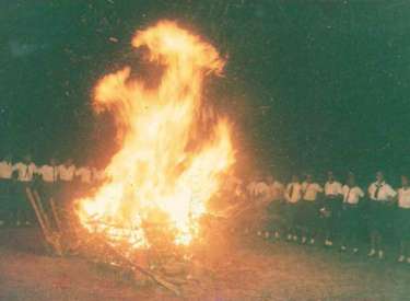 Scouts at a Bonefire